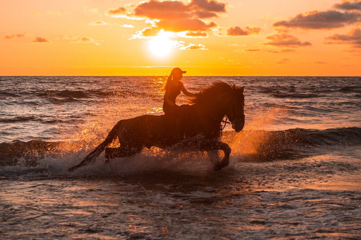 Comment faire de l'équitation pas cher