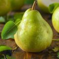 Valeur nutritionnelle d’une poire : calories, protéines, et plus encore