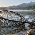 Épuisette de pêche posée près d’un lac au lever du jour