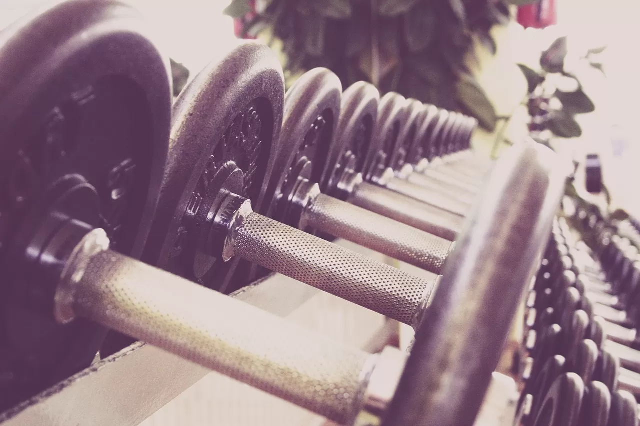 Fitness & Musculation
