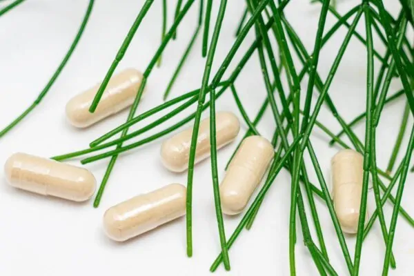 Comment utiliser la whey pour grossir ou maigrir
