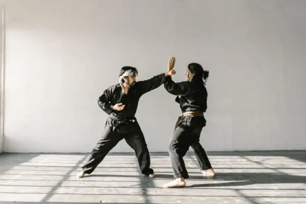 karaté ou judo que choisir