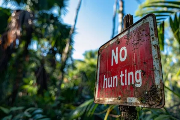 Chasse interdite en France : que dit la loi ?